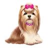 Long-haired lap dog with pink bow