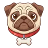 Pug