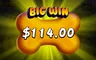 Free spins screen