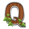 Q