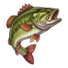 MONEY symbol