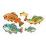 FISH MONEY