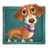Dachshund