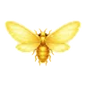 Golden Firefly