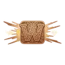 Bronze Wild