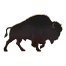 STAMPEDE