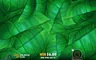 Free spins screen