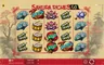 Info / About screen