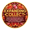 EXPANDING COLLECT