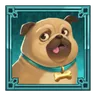 Pug Dog