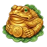 Golden money frog / toad