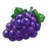 Purple grape cluster
