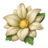 White Flower