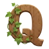 Q