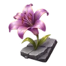 Purple Flower