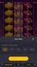 Autoplay settings